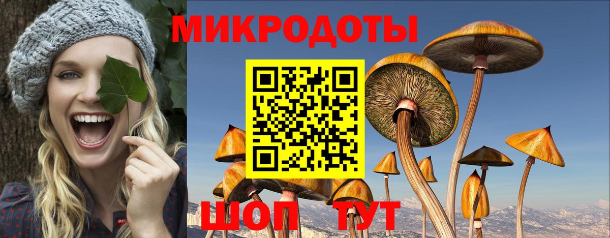 Галлюциногенные грибы Psilocybe  Псилоцибиновые грибы Psilocybe  Воскресенск 