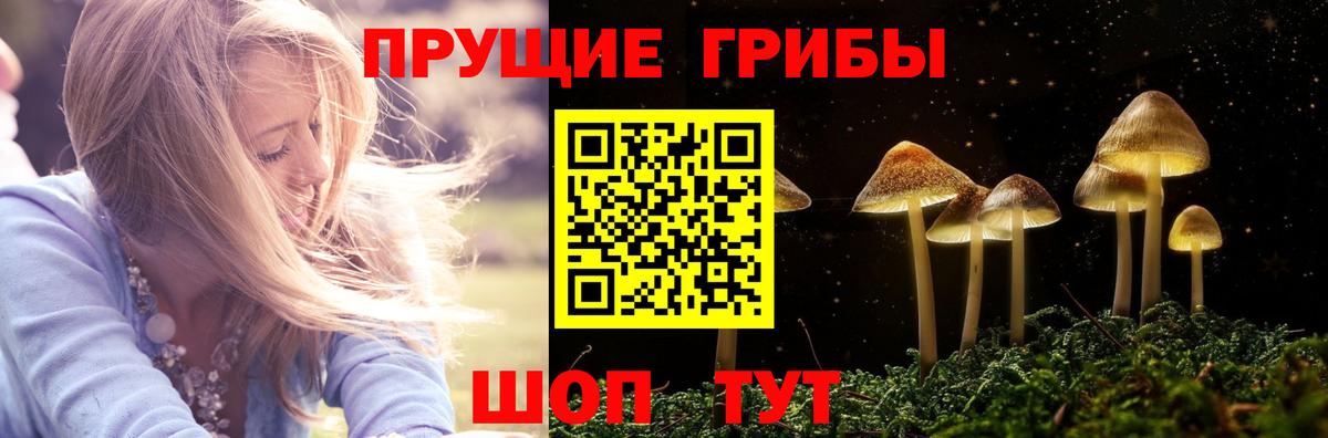 Галлюциногенные грибы Psilocybine cubensis  Вход с VPN  продажа наркотиков  Воскресенск 